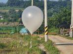 Korut-Kirimkan-Balon-Udara-Berisi-Sampah-ke-Korsel-Ini-Balasan-Aktifis-dari-Negeri-Gingseng.jpg