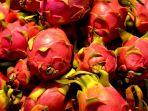 Manfaat-buah-naga-merah.jpg