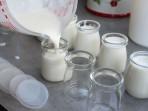 Menyimpan-Yogurt.jpg