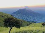 Merbabu-Via-Suwanting30-07-2024.jpg