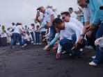 Pelepasan-tukik-alias-anak-penyu-di-Pantai-Bugel.jpg