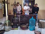 Pencuri Burung di Magelang Gasak 8 Sangkar, Total Kerugian Capai Jutaan Rupiah