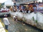 Peringati-HUT-ke-75-DPRD-Klaten-Tebar-50-Ribu-Benih-Ikan-Nila.jpg