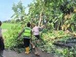 Personel-Polri-TNI-Gotong-Royong-Bersihkan-Material-Pohon-Tumbang-di-klaten.jpg