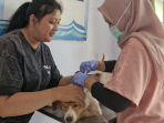 Pertahankan-Zero-Kasus-Pemkab-Gunungkidul-Siapkan-610-Vaksin-Rabies-Gratis.jpg