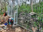 Petugas-memasang-pagar-pembatas-untuk-pembuatan-Aviary-pertama-di-Gunungkidul.jpg