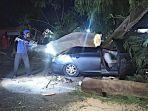 Pohon-Sengon-Tiba-tiba-Tumbang-Timpa-Mobil-di-Jember-Pengemudinya-Tewas.jpg