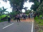 Pohon-Setinggi-10-Meter-Tumbang-Blokir-Jalan-di-Lendah-Kulon-Progo.jpg