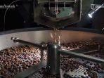 Proses-mengolah-biji-kopi-di-tempat-pengolahan-biji-kopi-Kebun-Kopi-Lereng-Merapi.jpg