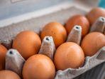Protein-Telur.jpg