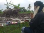 Ritual Megawe di Sleman, Simbol Harmoni Petani dan Bumi