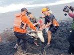 SAR-Kulon-Progo-Temukan-Penyu-Mati-Terdampar-di-Pantai-Mlarangan-Asri.jpg