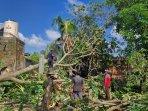 Sebanyak-18-Rumah-di-Gantiwarno-Rusak-Akibat-Pohon-Tumbang.jpg