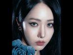 SinB-VIVIZ.jpg