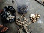 Tim-Exalos-Klaten-berhasil-mengevakuasi-40-butir-telur-KOBRA.jpg