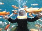 Wisatawan-Luar-Kota-mulai-Ramai-Kunjungi-Umbul-Ponggok-Klaten-Akhir-Pekan-Bisa-1000-Orang.jpg
