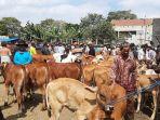 aktivitas-jual-beli-di-pasar-hewan-muntilan-meningkat-menjelang-lebaran-kurban.jpg