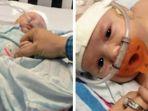 bayi-yang-nyaris-meninggal-karena-rsv-infeksi-saluran-pernapasan-akibat-virus-meningitis.jpg