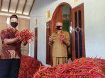 bupati-bantul-suharsono-melihat-langsung-proses-pelaksanaan-lelang-perdana-cabai-merah.jpg