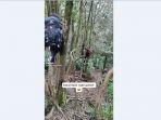 cerita-lucu-pendaki-gunung-cikuray-lari-tunggang-langgang-dikejar-babi-hutan-akhirnya-panjat-pohon.jpg