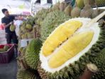 durian-musang-king-malaysia_20180528_051907.jpg