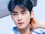 face-genius-cha-eun-woo.jpg