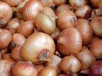 harga-bawang-bombay-di-gunungkidul-meroket-sentuh-rp-100-ribu-per-kg.jpg