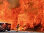 hutan-paradise-di-california-utara-terbakar-hebat.jpg