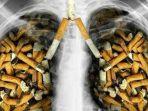 ilustrasi-paru-paru-dan-rokok.jpg