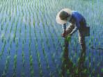 ilustrasi-petani-di-sawah-24092025.jpg