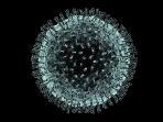 ilustrasi-virus-corona.jpg