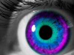 indigo_20180507_195131.jpg