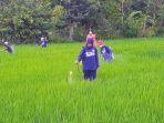 jaga-kesuburan-tanah-rpt-gunungkidul-ajak-petani-basmi-hama-dengan-bahan-alami.jpg