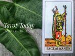 kartu-tarot-hari-ini-page-of-wands.jpg