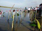 kegiatan-gerakan-nasional-serentak-tanam-pohon-mangrove-di-kawasan-baros-tirtohargo-kretek-bantul.jpg