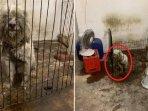 kejam-gara-gara-tak-lucu-lagi-pemilik-tinggalkan-anjing-ini-di-ruangan-gelap-dan-penuh-tikus-3.jpg