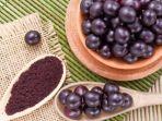 khasiat-buah-acai-berry.jpg
