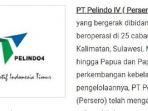 lowongan-kerja-bumn-2019-pt-pelindo-buka-lowongan-programmer.jpg