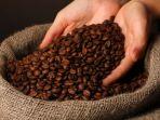 memakan-biji-kopi.jpg