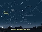 meteor-perseid-bertepatan-dengan-bulan-baru_20180812_174459.jpg