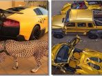 mobil-mewah-dan-macan_20170711_133954.jpg