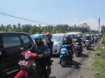 padat-merayap_3007.jpg