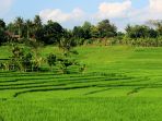 panorama-alam-terasiring-di-desa-pendoworejo4_20170608_213311.jpg
