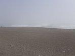pantai-parang-endog-hingga-pantai-parangtritis-tertutup-kabut.jpg