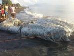 penampakan-makhluk-misterius-raksasa-yang-terdampar-di-pantai-filipina_20180516_231845.jpg