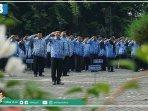 pendaftaran-cpns-2019-dibuka-pelamar-umum-sekolah-kedinasaan-dan-pppk.jpg