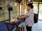 pengunjung-berinteraksi-dengan-kelinci-di-jogja-exotarium.jpg