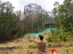 petugas-bksda-saat-naik-ke-kandang-elang-bido-untuk-membuka-pintu-kandang_20181105_153237.jpg