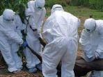 petugas-menguburkan-sapi-yang-mati-terjangkit-antraks.jpg