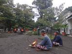 pohon-tumbang-angin-kencang-keraton-yogya.jpg
